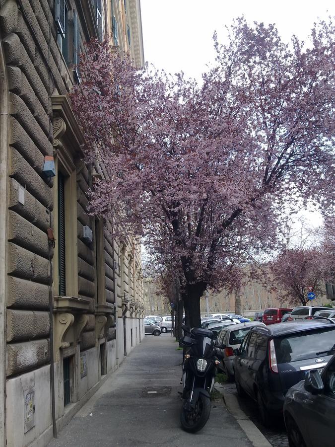Casa Gigli - Arts Rom