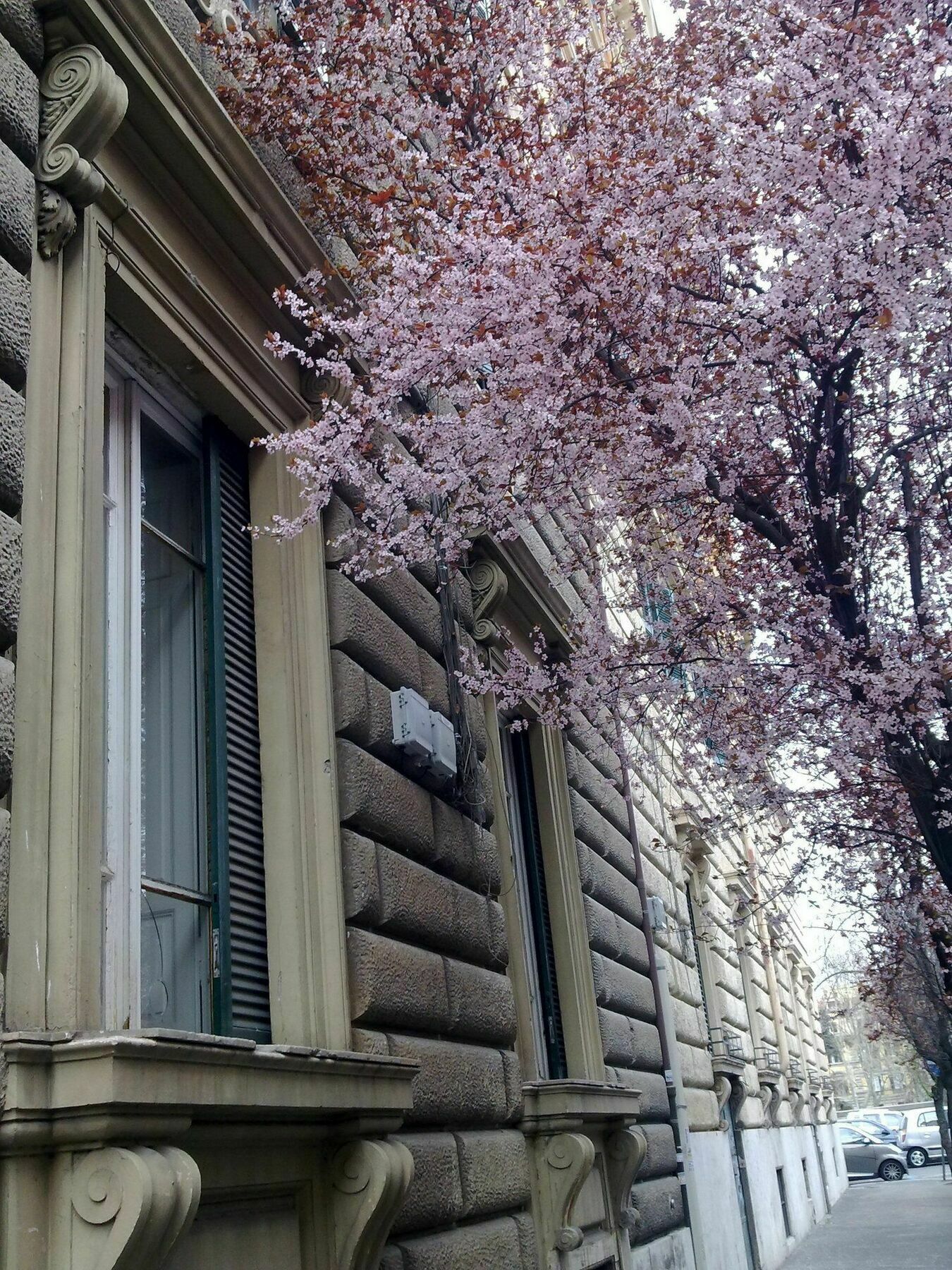 Casa Gigli - Arts Appartamento
